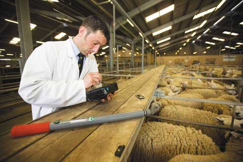 Phone calls, SMSs, email, Social media and Pastoral&nbsp;Ministry